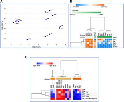 Unraveling signatures of chicken genetic diversity and divergent selection in breed-specific patterns of early myogenesis, nitric oxide metabolism and post-hatch growth